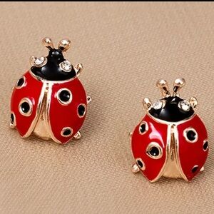 Black and Red Ladybug, Beetle, glam, Boho, Cute, Insect, Bug Earrings